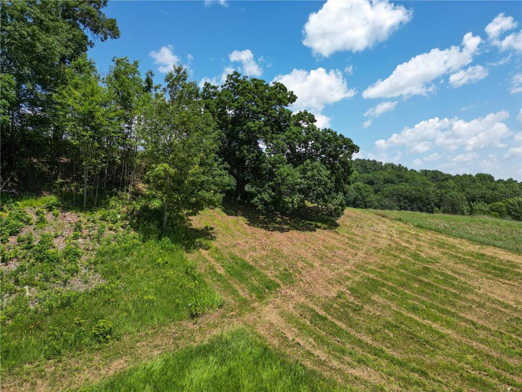 E2519 State Rd 29 Lucas Twp WI 54751 6748695 image32