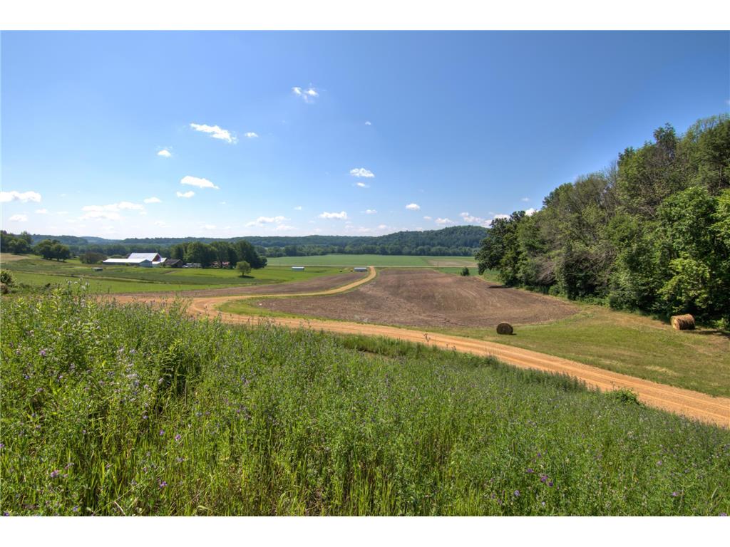E2519 State Rd 29 Lucas Twp WI 54751 6748695 image43