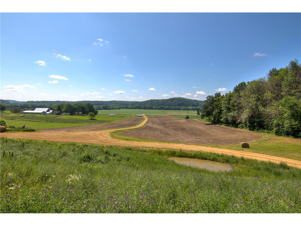 E2519 State Rd 29 Lucas Twp WI 54751 6748695 image44