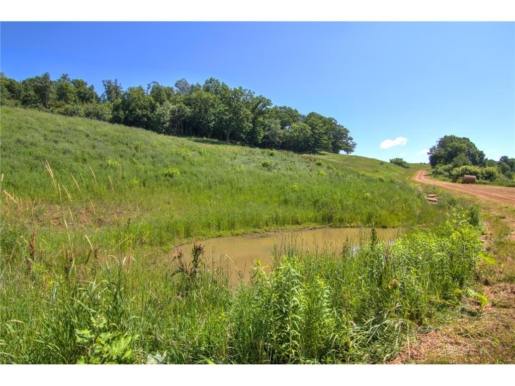 E2519 State Rd 29 Lucas Twp WI 54751 6748695 image53