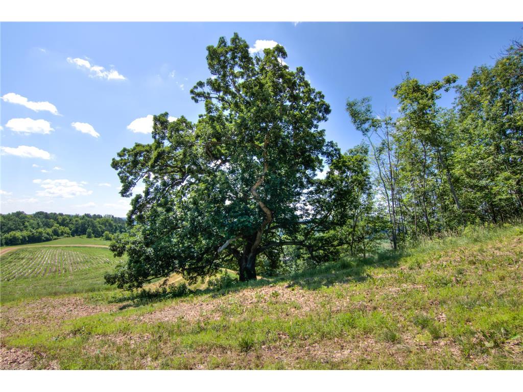 E2519 State Rd 29 Lucas Twp WI 54751 6748695 image56