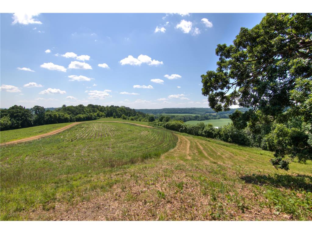 E2519 State Rd 29 Lucas Twp WI 54751 6748695 image58