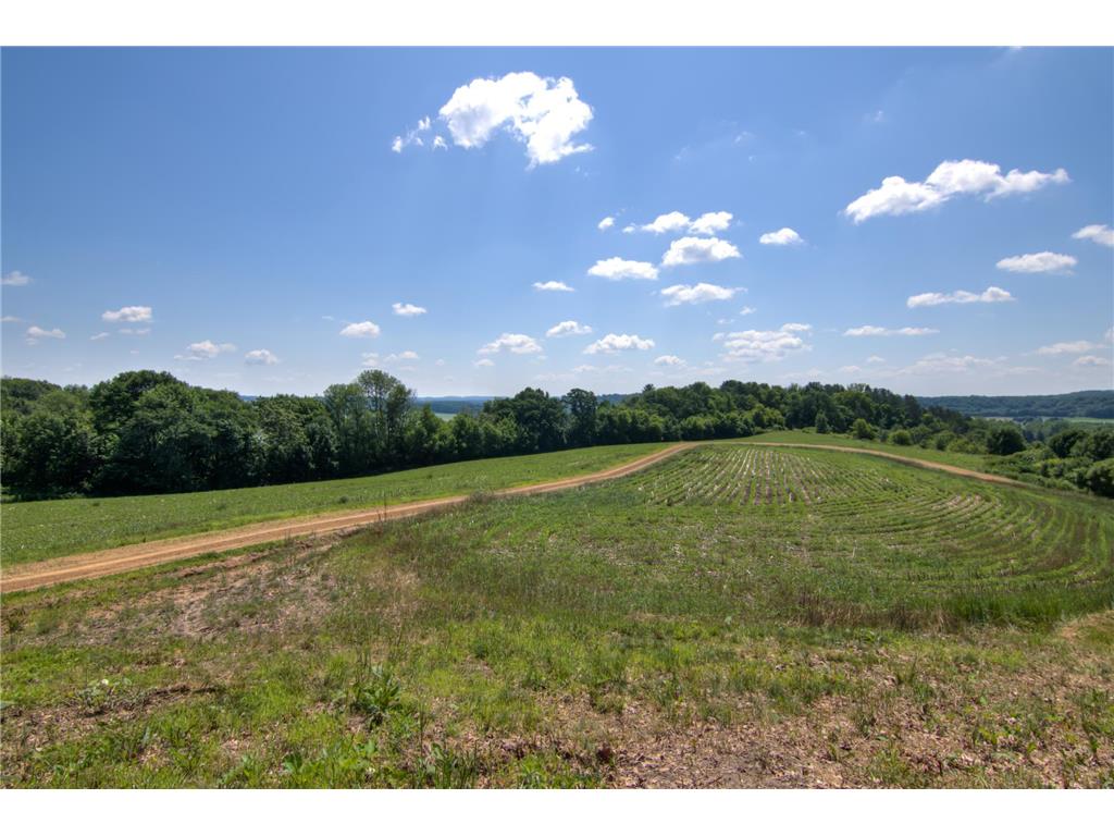 E2519 State Rd 29 Lucas Twp WI 54751 6748695 image59