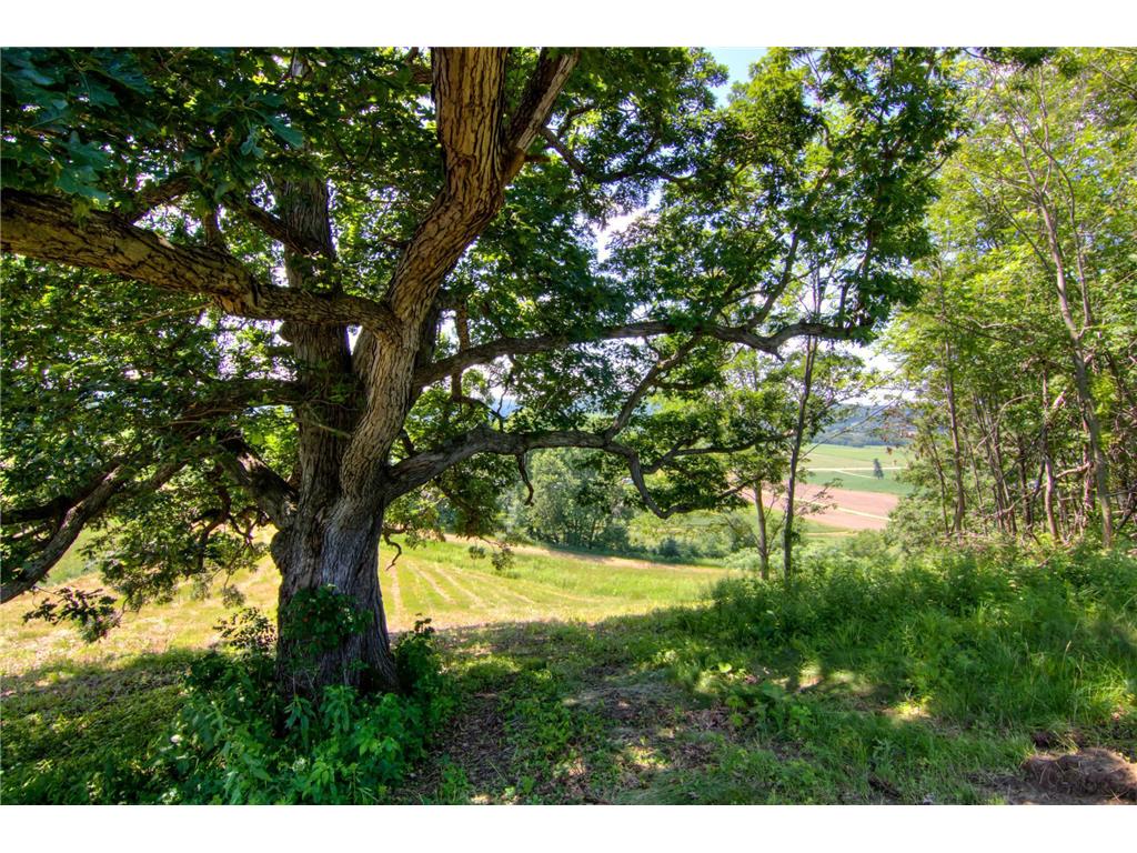 E2519 State Rd 29 Lucas Twp WI 54751 6748695 image60