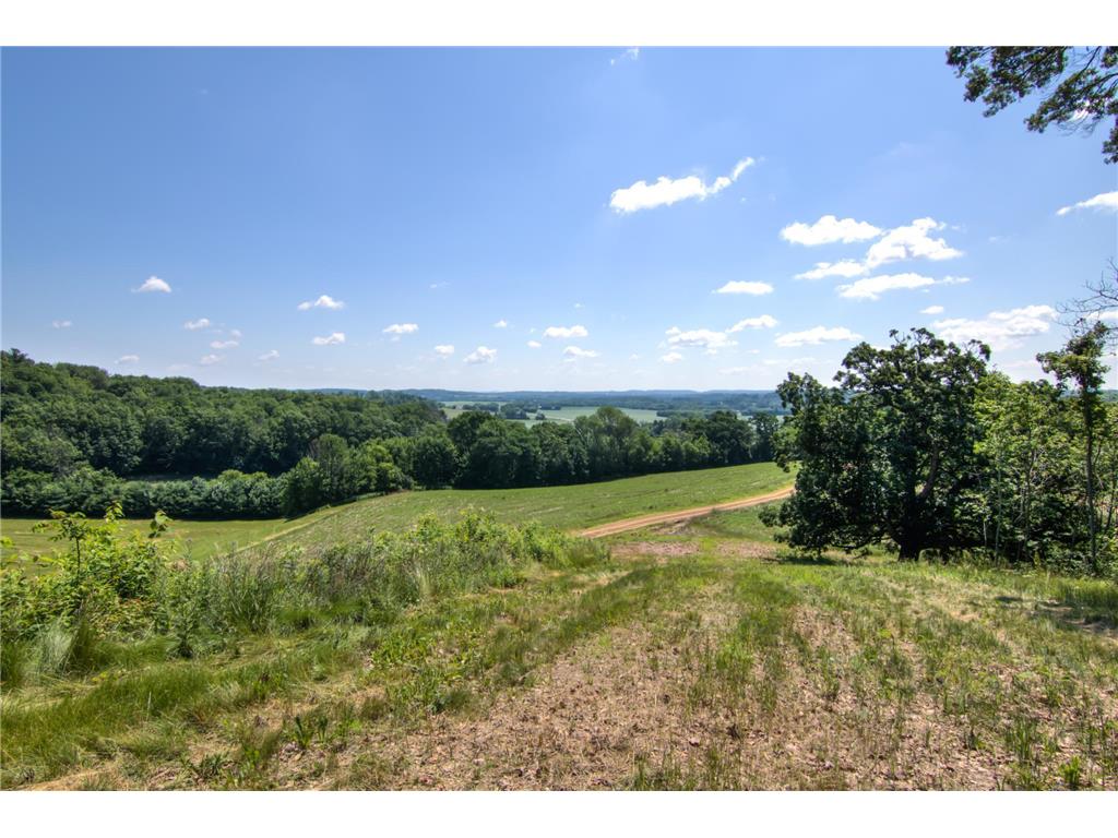 E2519 State Rd 29 Lucas Twp WI 54751 6748695 image61