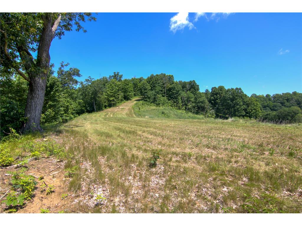 E2519 State Rd 29 Lucas Twp WI 54751 6748695 image62