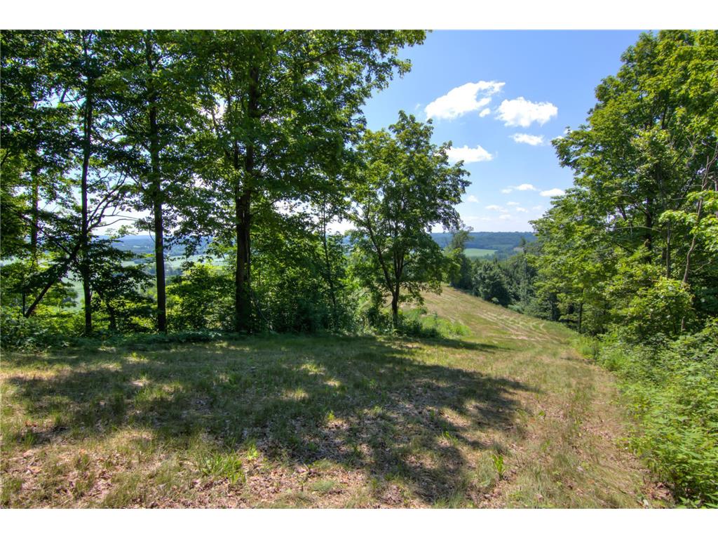 E2519 State Rd 29 Lucas Twp WI 54751 6748695 image67