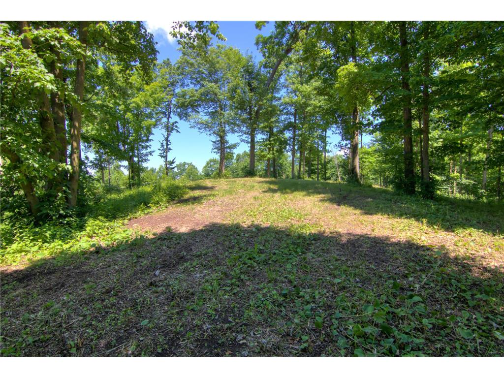 E2519 State Rd 29 Lucas Twp WI 54751 6748695 image68