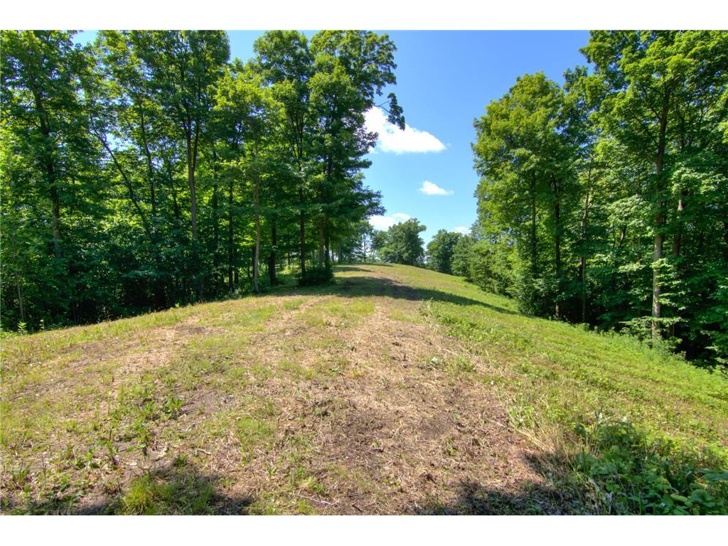 E2519 State Rd 29 Lucas Twp WI 54751 6748695 image73