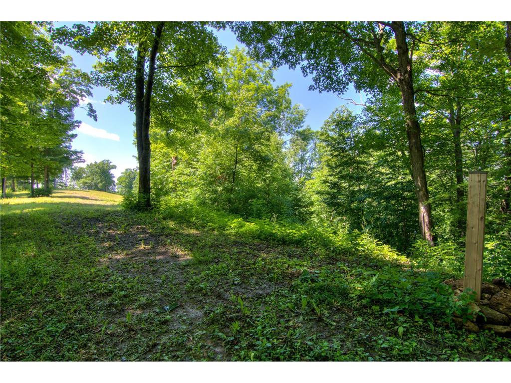 E2519 State Rd 29 Lucas Twp WI 54751 6748695 image74