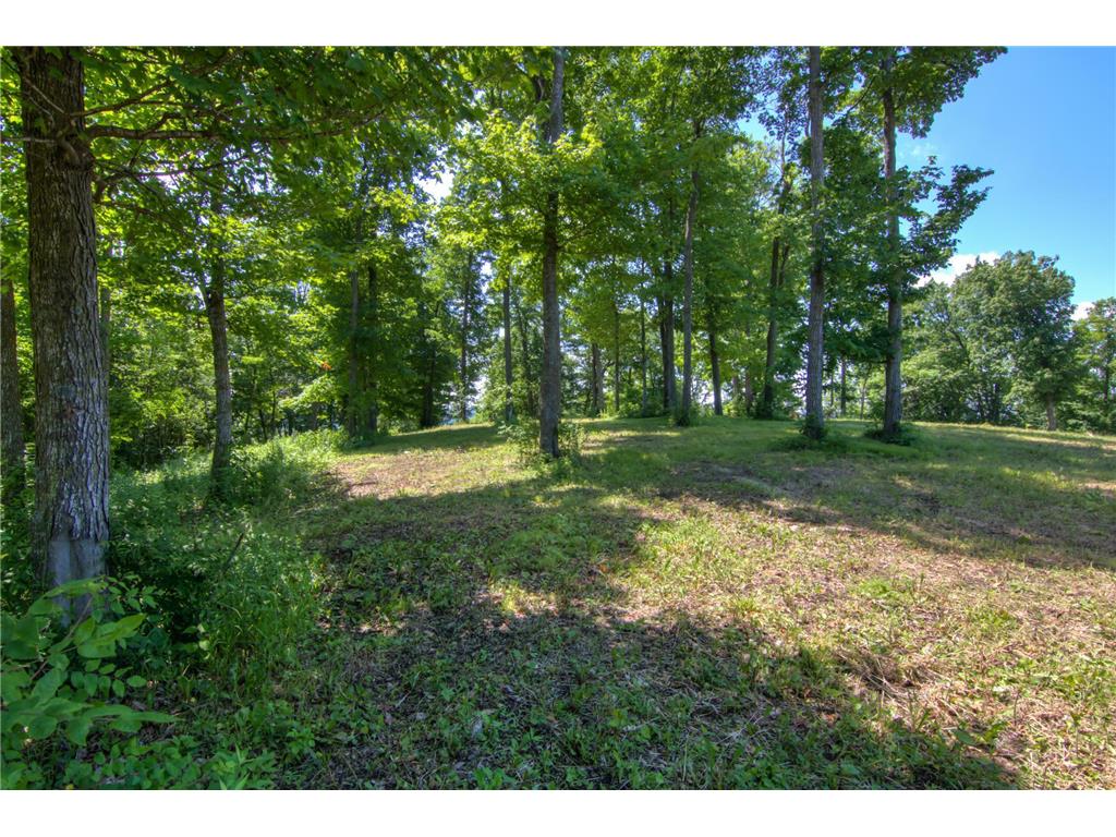 E2519 State Rd 29 Lucas Twp WI 54751 6748695 image76