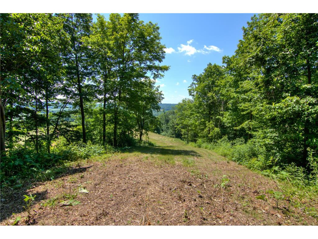 E2519 State Rd 29 Lucas Twp WI 54751 6748695 image77