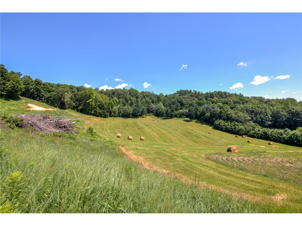 E2519 State Rd 29 Lucas Twp WI 54751 6748695 image80