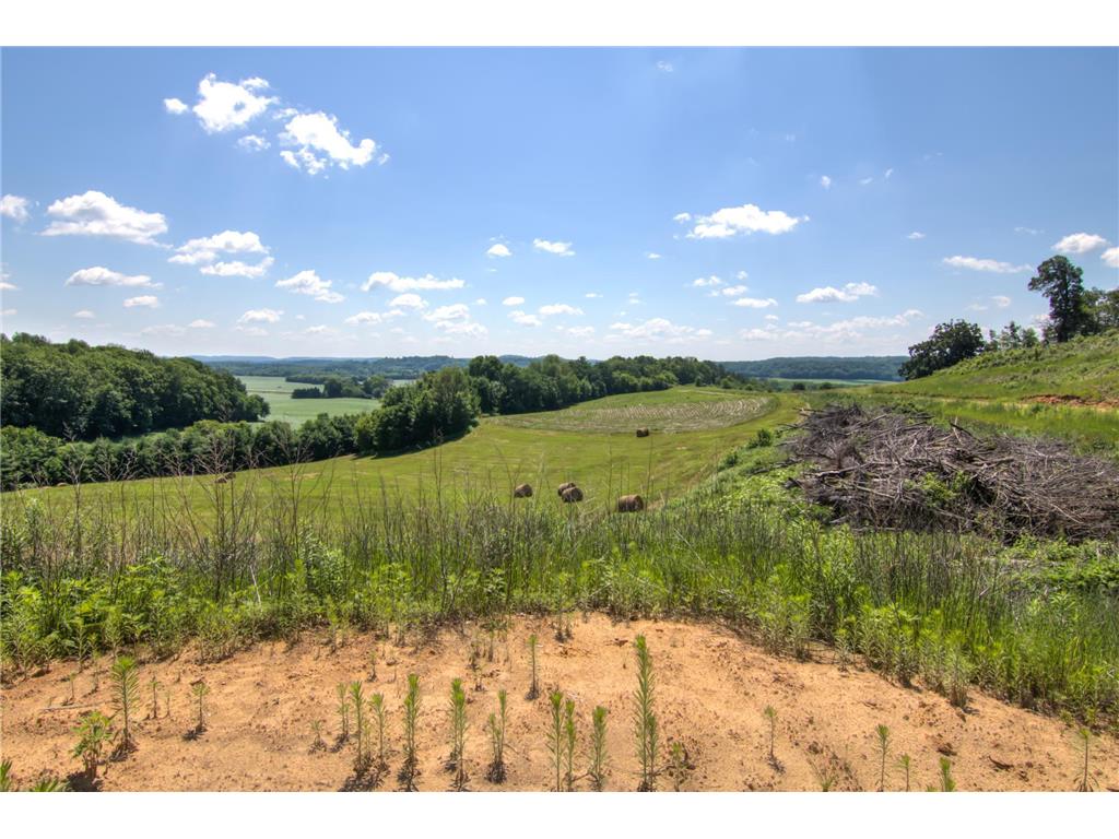 E2519 State Rd 29 Lucas Twp WI 54751 6748695 image84