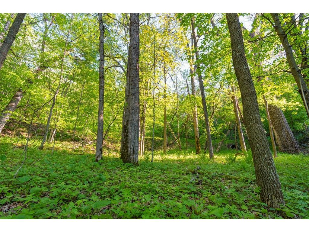 E3555 1120th Avenue Hay River Twp WI 54725 7081410 image13