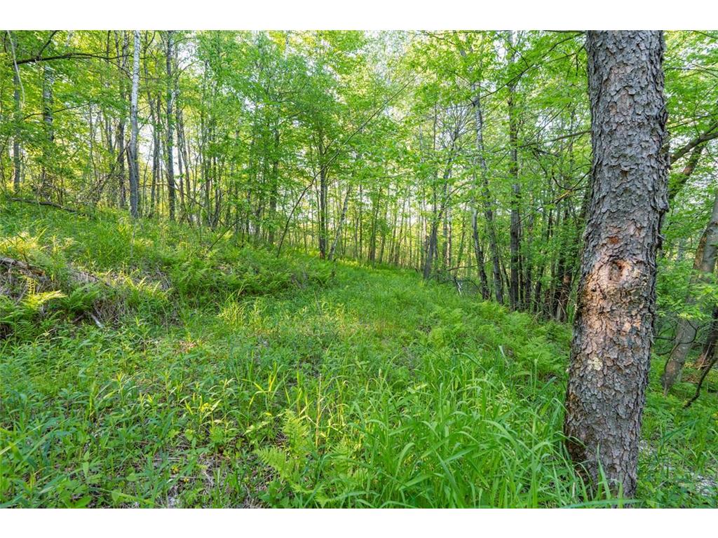 E3555 1120th Avenue Hay River Twp WI 54725 7081410 image19