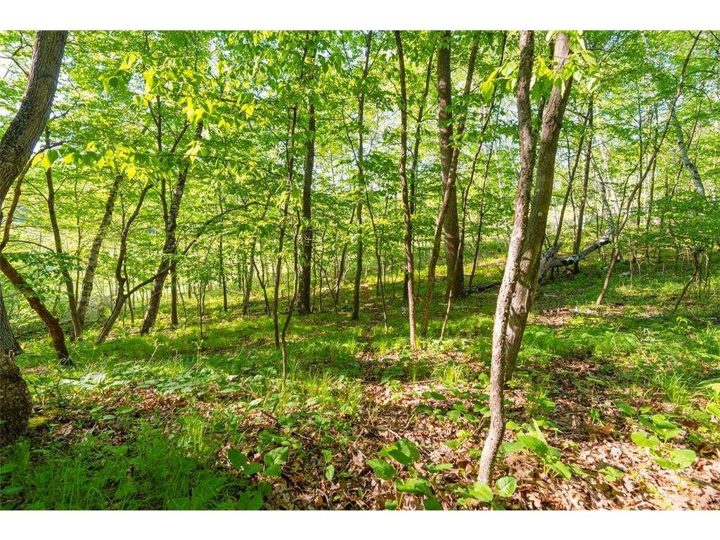 E3555 1120th Avenue Hay River Twp WI 54725 7081410 image8