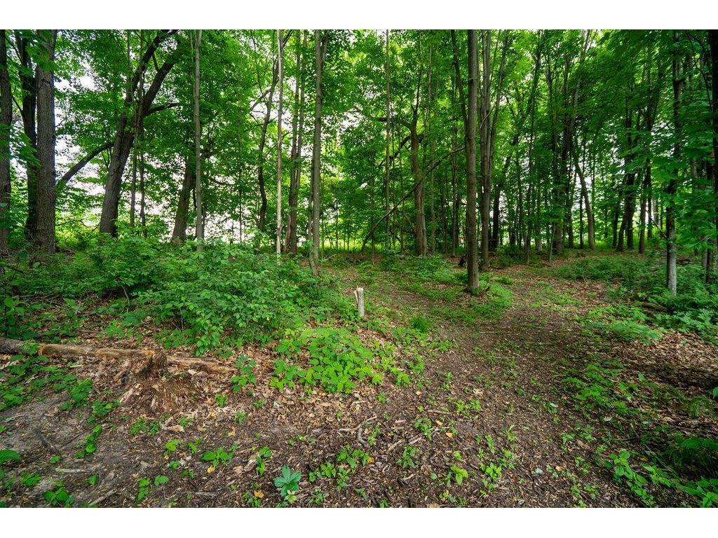 E5251 Basswood Road Eau Claire WI 54701 7086965 image53