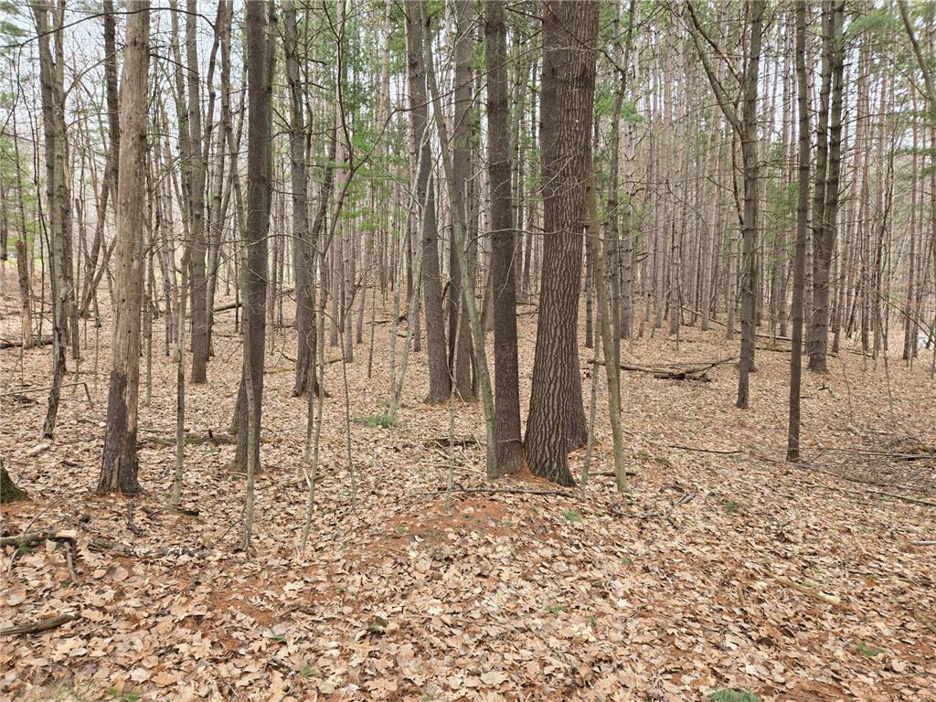 Lot 3 732nd Avenue Tainter Twp WI 54751 - Tainter 7046222 image3