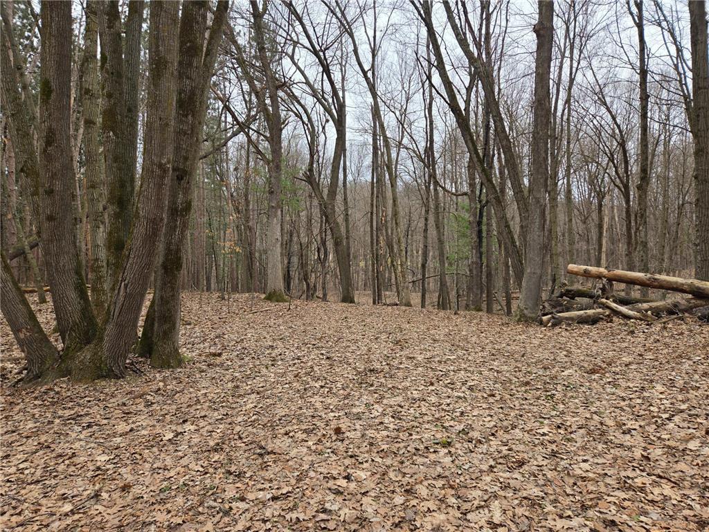 Lot 3 732nd Avenue Tainter Twp WI 54751 - Tainter 7046222 image4