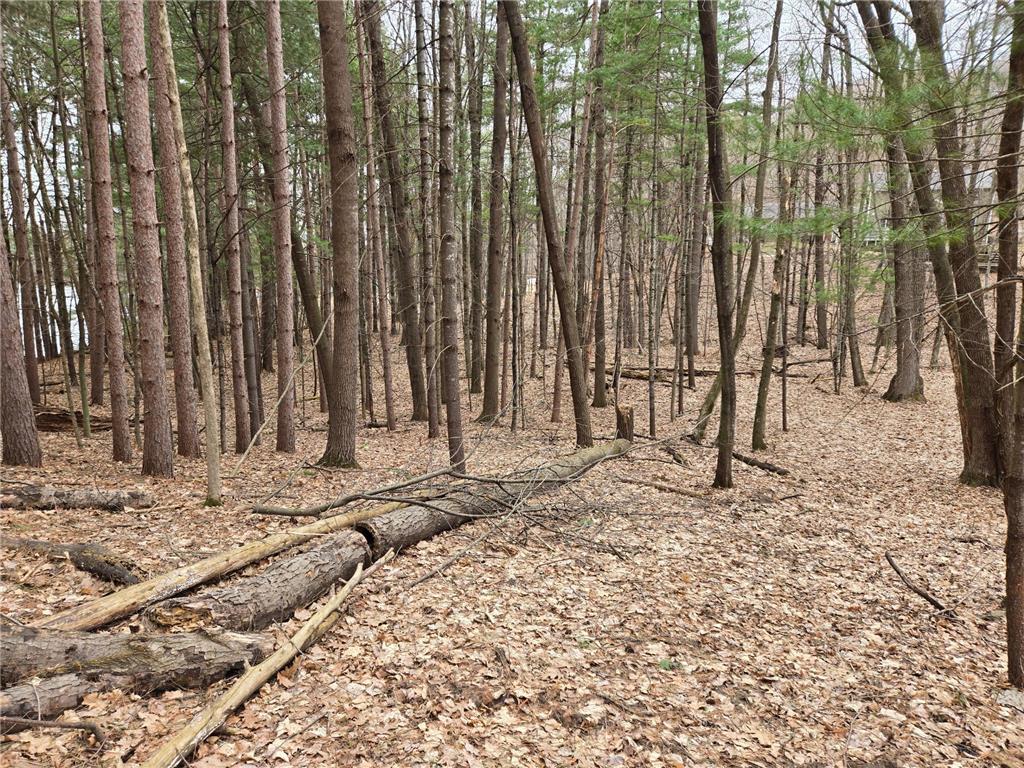 Lot 3 732nd Avenue Tainter Twp WI 54751 - Tainter 7046222 image5