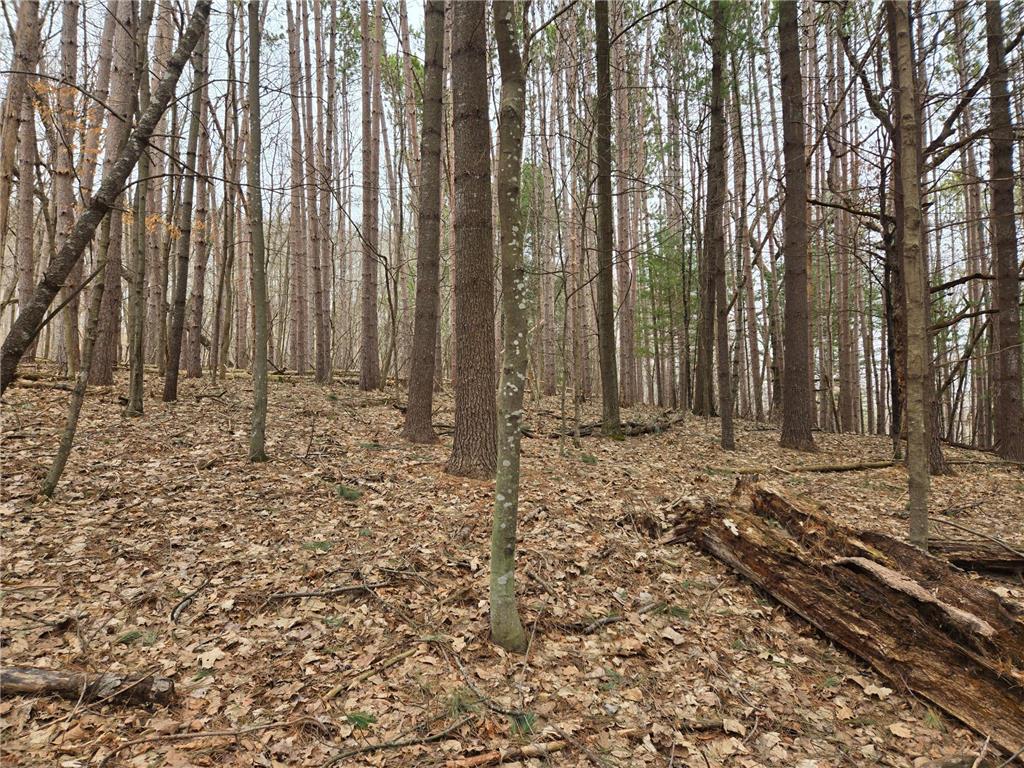 Lot 3 732nd Avenue Tainter Twp WI 54751 - Tainter 7046222 image6