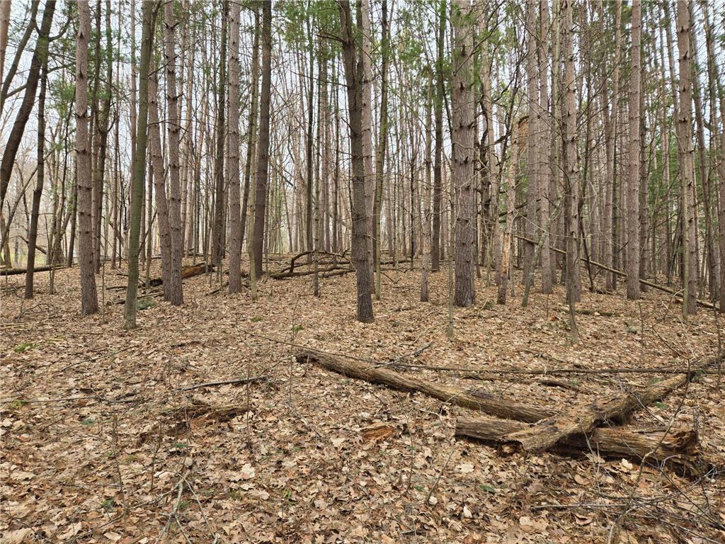 Lot 3 732nd Avenue Tainter Twp WI 54751 - Tainter 7046222 image7