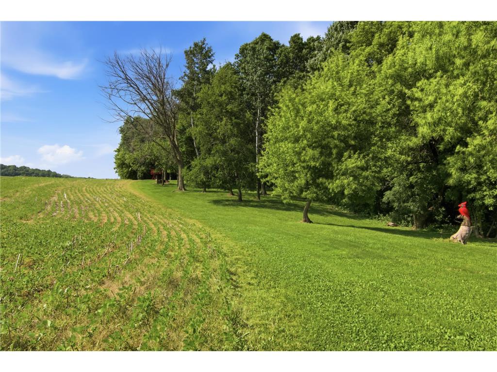 E5443 470th Avenue Red Cedar Twp WI 54751 7101544 image37