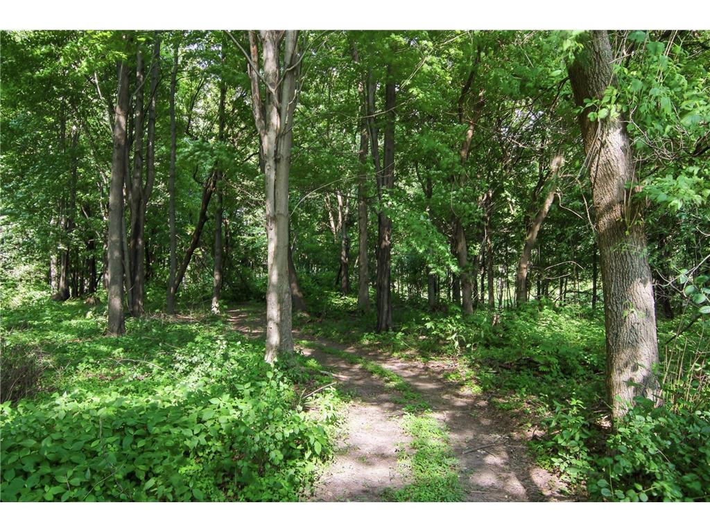 E5443 470th Avenue Red Cedar Twp WI 54751 7101544 image38