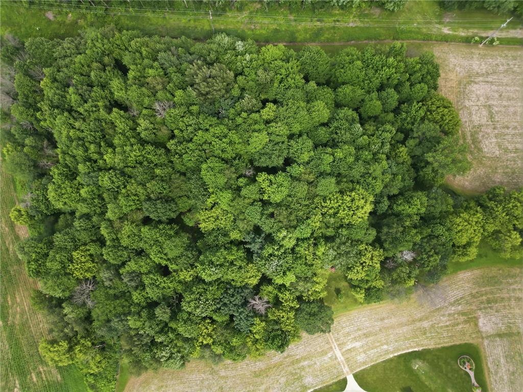 E5443 470th Avenue Red Cedar Twp WI 54751 7101544 image56