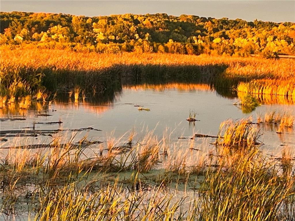 E6585 836th Avenue Colfax WI 54730 - Red Cedar River 6532485 image1