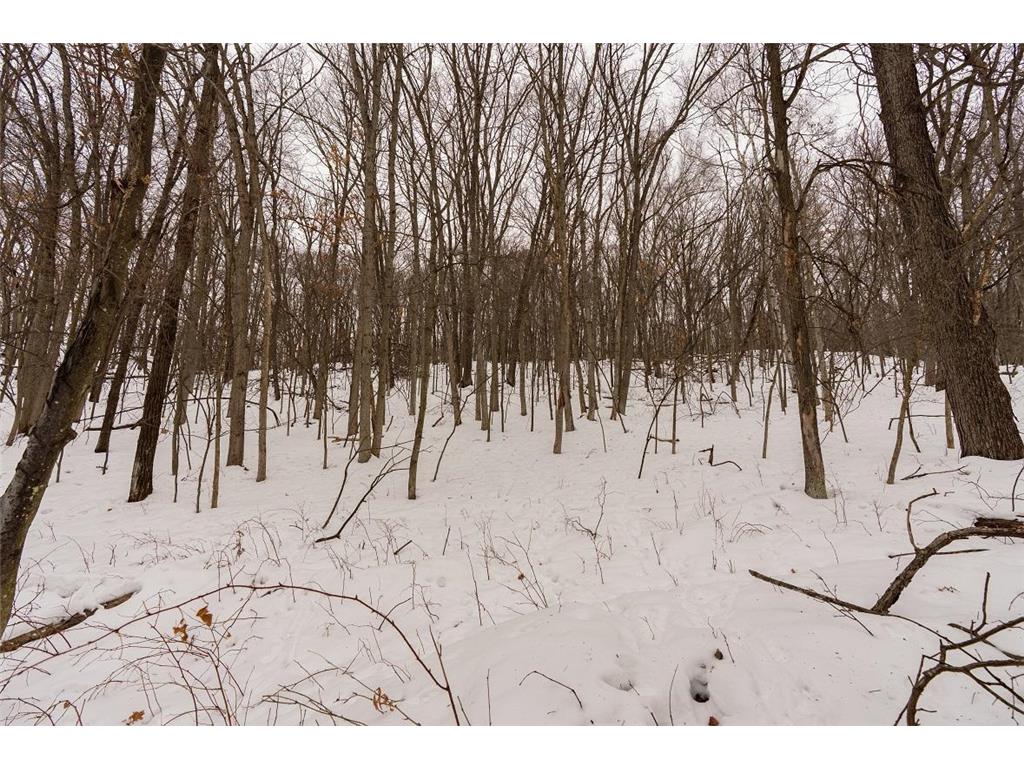 E6783 1090th Avenue Otter Creek Twp WI 54772 7019401 image18