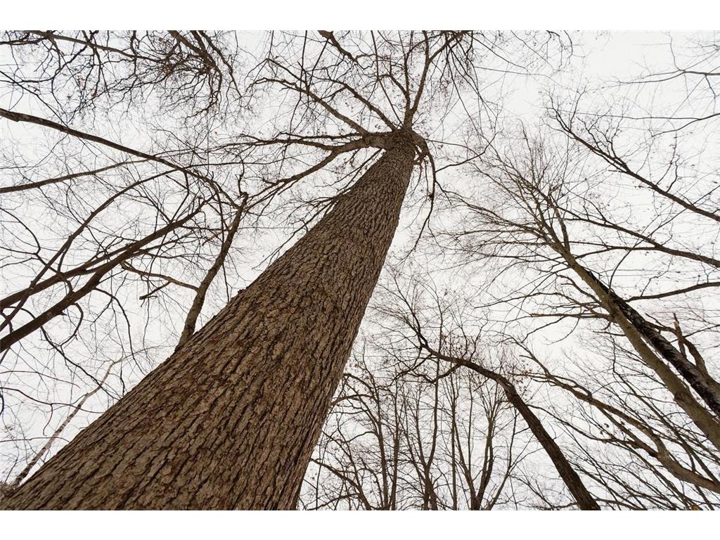 E6783 1090th Avenue Otter Creek Twp WI 54772 7019401 image21