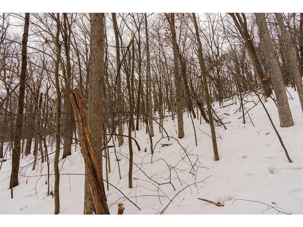 E6783 1090th Avenue Otter Creek Twp WI 54772 7019401 image23