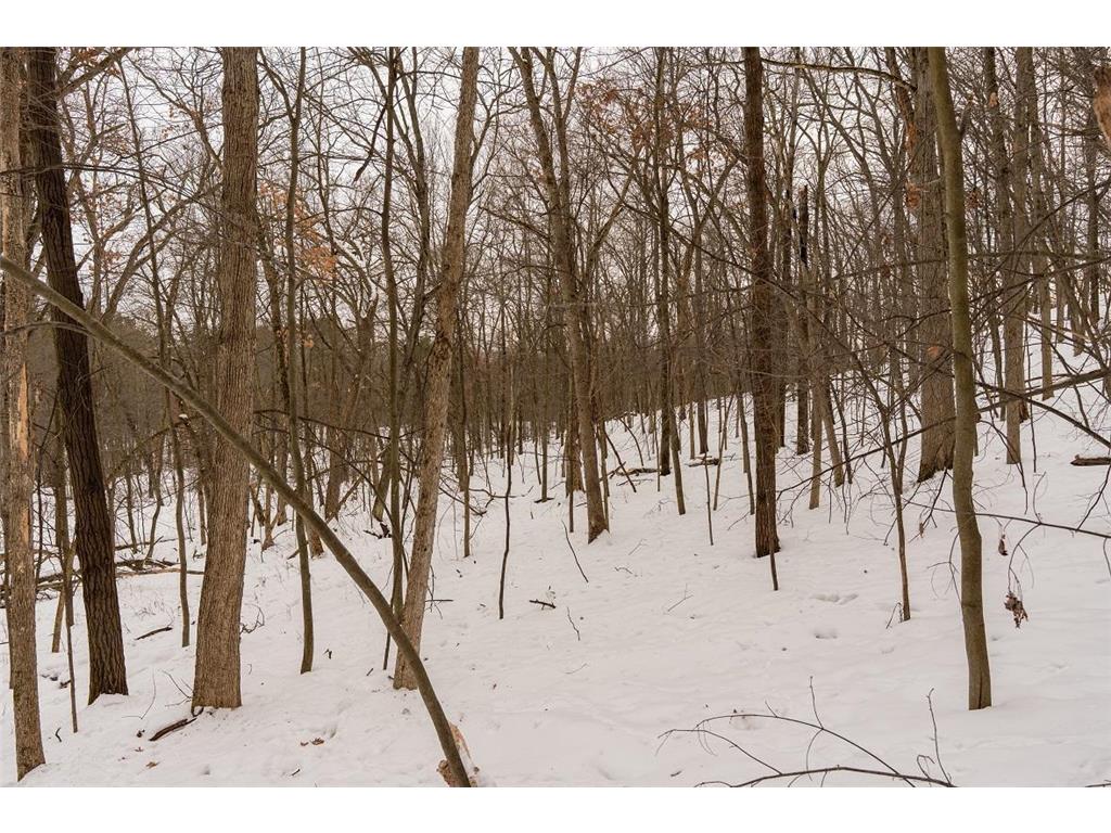 E6783 1090th Avenue Otter Creek Twp WI 54772 7019401 image26