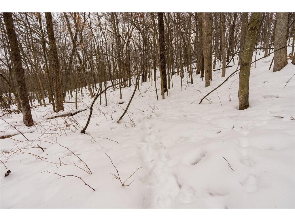 E6783 1090th Avenue Otter Creek Twp WI 54772 7019401 image28