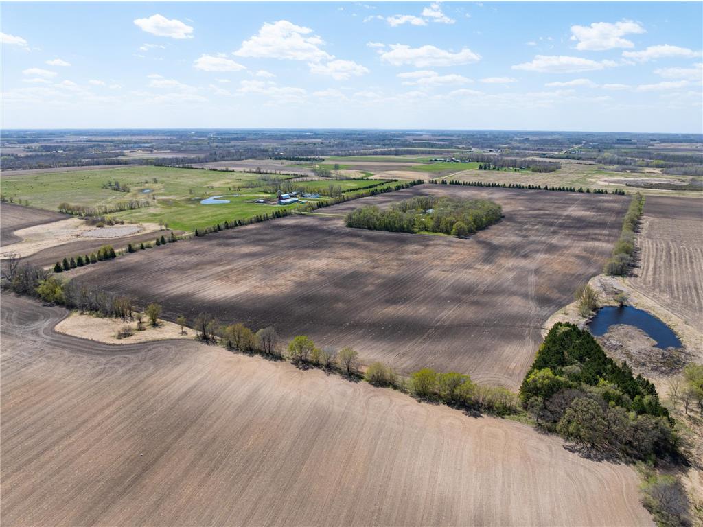 Forster Rd Forster Road NE Belle River Twp MN 56319 7084391 image7