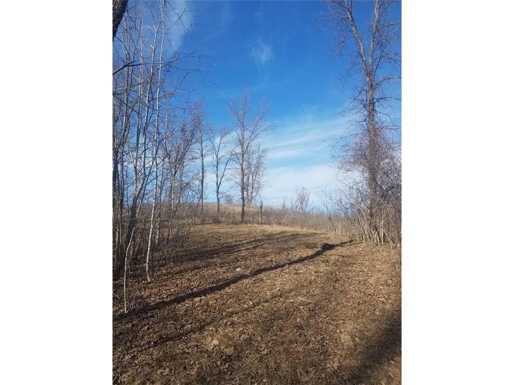 24793 Franklin Lake Road Dunn Twp MN 56572 - Elbow Lake 7031286 image14