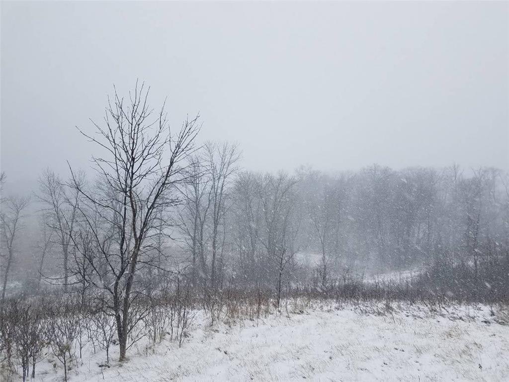 24793 Franklin Lake Road Dunn Twp MN 56572 - Elbow Lake 7031286 image16