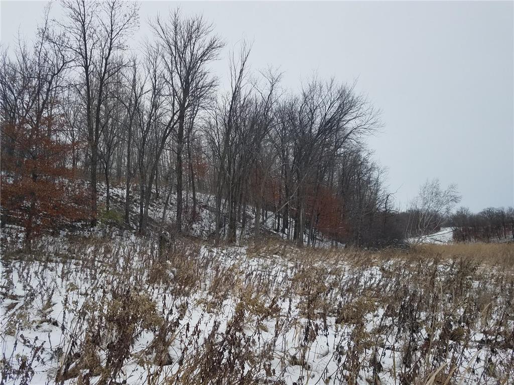 24793 Franklin Lake Road Dunn Twp MN 56572 - Elbow Lake 7031286 image18