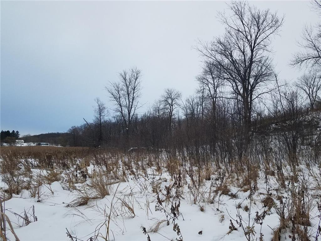 24793 Franklin Lake Road Dunn Twp MN 56572 - Elbow Lake 7031286 image19