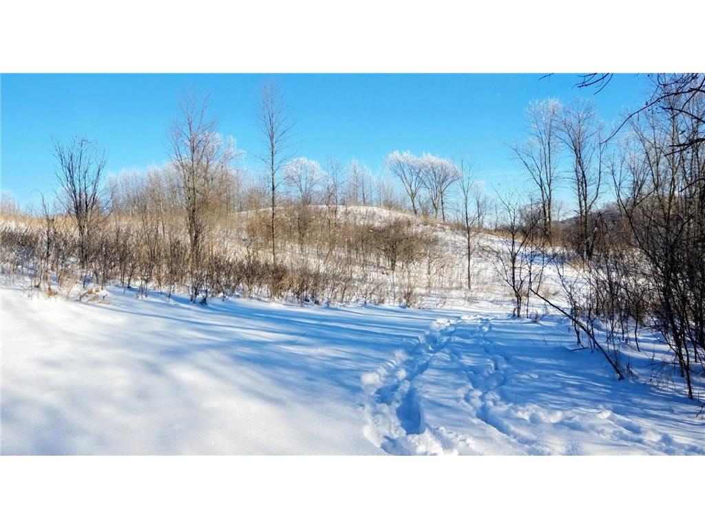 24793 Franklin Lake Road Dunn Twp MN 56572 - Elbow Lake 7031286 image22