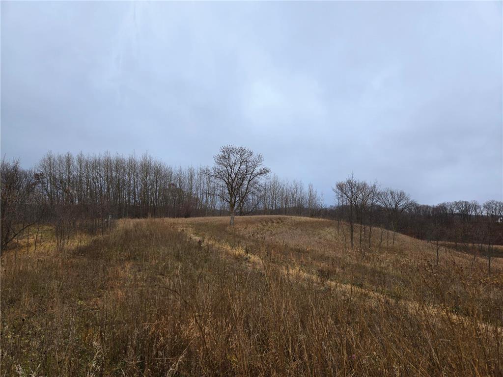 24793 Franklin Lake Road Dunn Twp MN 56572 - Elbow Lake 7031286 image30