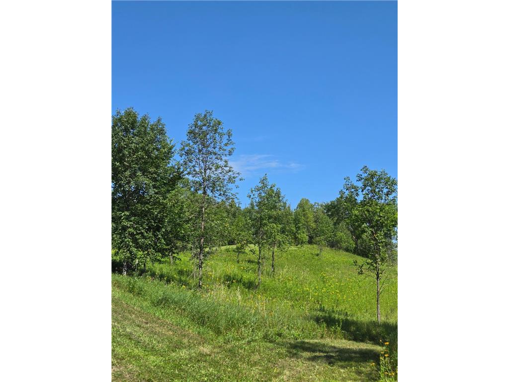 24793 Franklin Lake Road Dunn Twp MN 56572 - Elbow Lake 7031286 image31