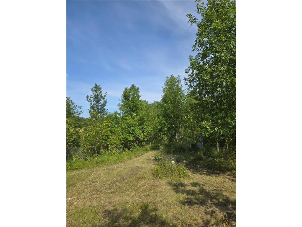 24793 Franklin Lake Road Dunn Twp MN 56572 - Elbow Lake 7031286 image39