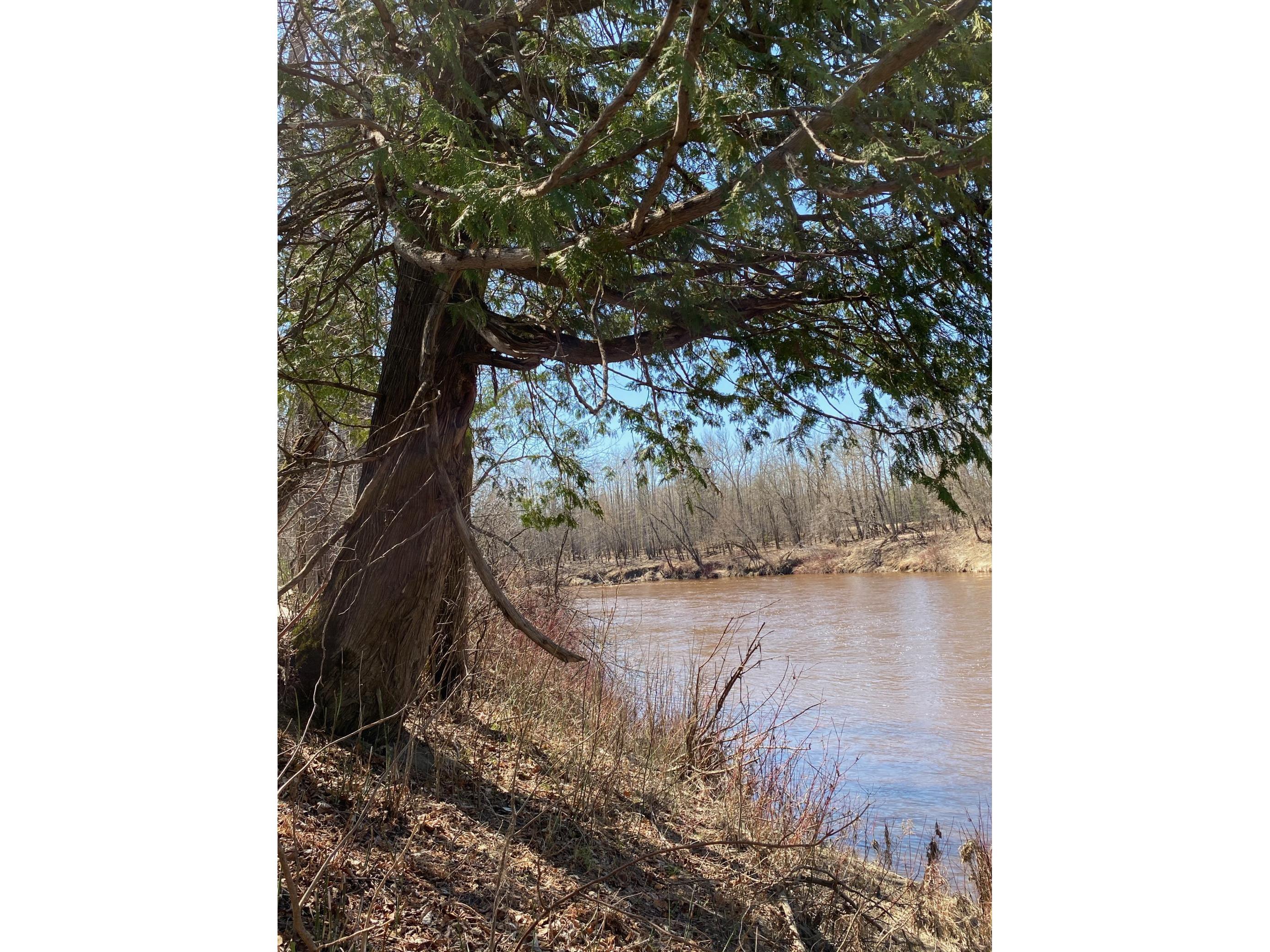 Gov Lot 1 County Road 8 to Town Road 78, Littlefork, MN, 56653 MLS