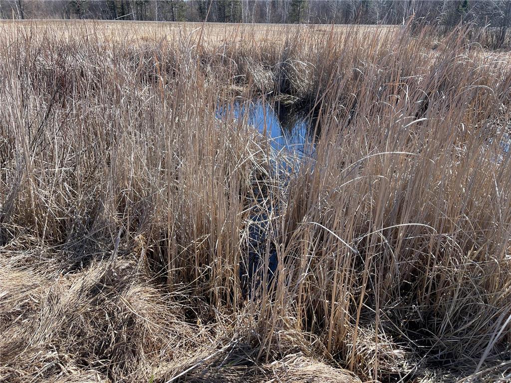 Hwy 133 Hwy # 133 Elmer Twp MN 55765 7056169 image10
