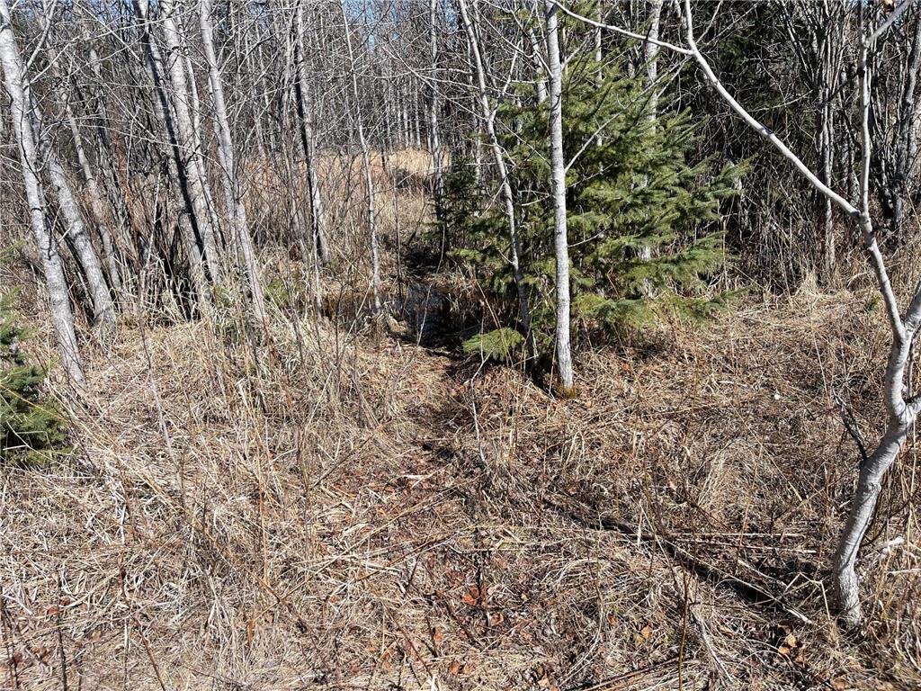 Hwy 133 Hwy # 133 Elmer Twp MN 55765 7056169 image11