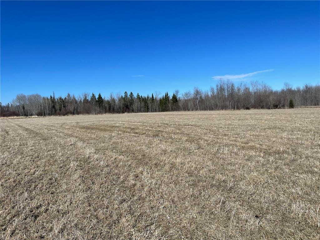 Hwy 133 Hwy # 133 Elmer Twp MN 55765 7056169 image3