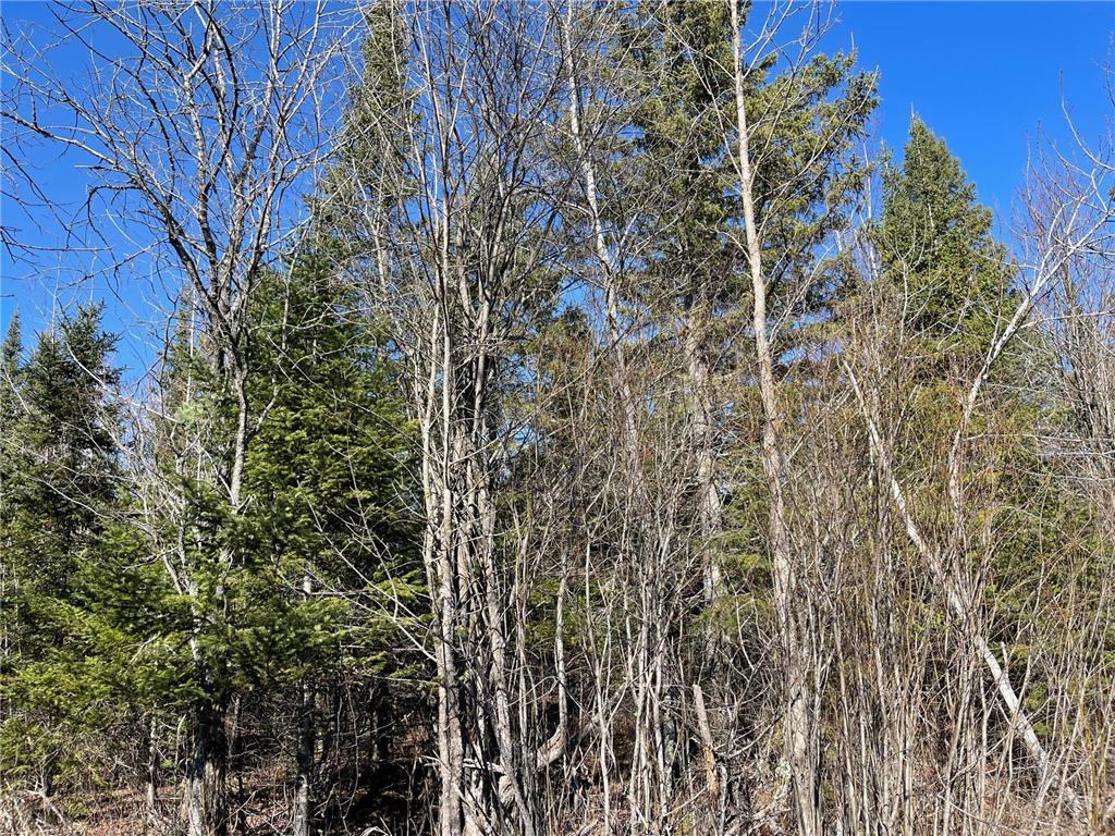 Hwy 133 Hwy # 133 Elmer Twp MN 55765 7056169 image6